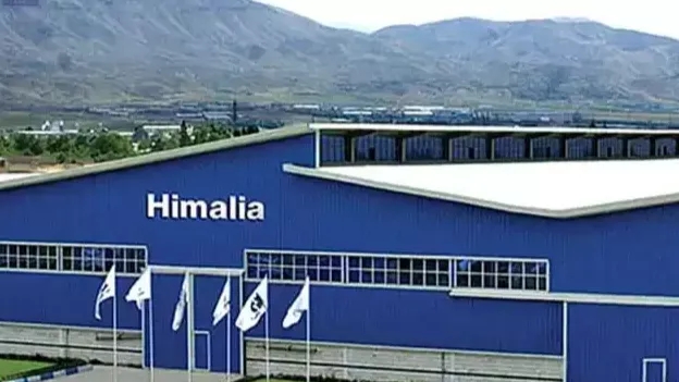 درباره تاریخچه شرکت هیمالیا