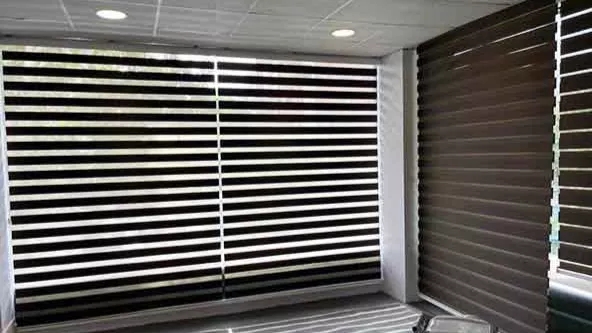 The zebra curtain and the reason for its difference from the two-mechanism zebra