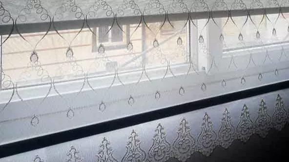 پرده زبرا و دلیل تفاوت آن با زبرا دومکانیزم