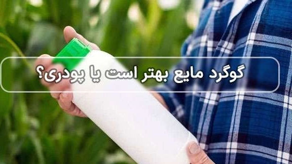Advantage of liquid sulfur fertilizer for alfalfa
