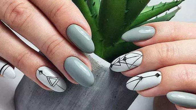 Introduction of nail implant models