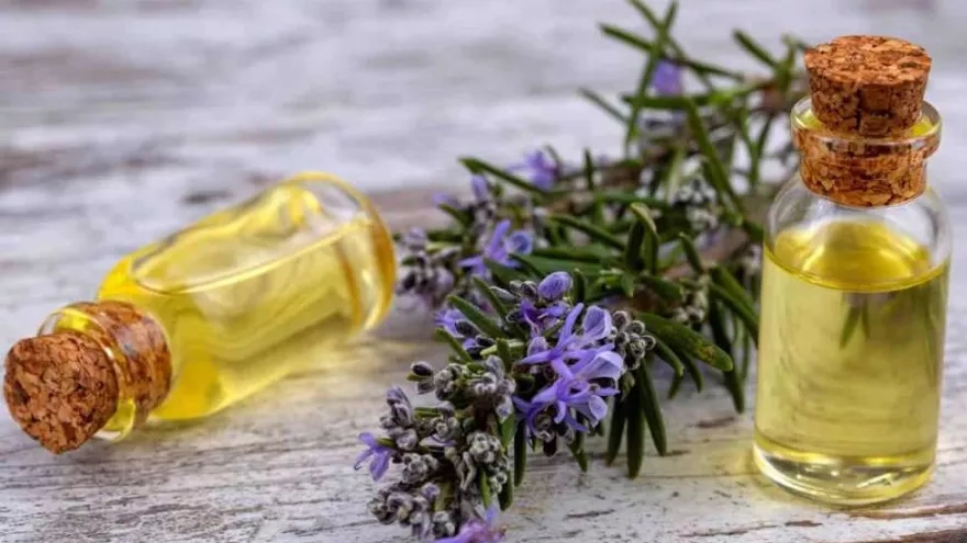 عرقیجات گرم برای زمستان