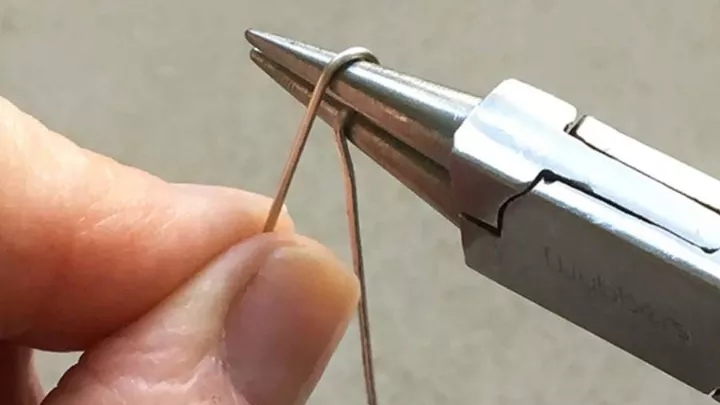 Narrow tail; Heir to the throne of hand pliers!