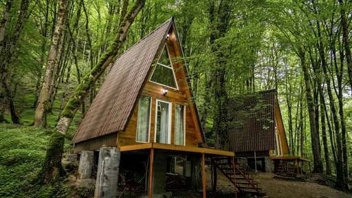 Advantages, disadvantages and tips of buying forest villas