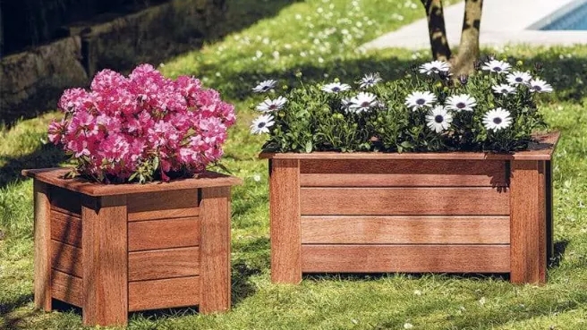 Is a wooden pot suitable for plants?