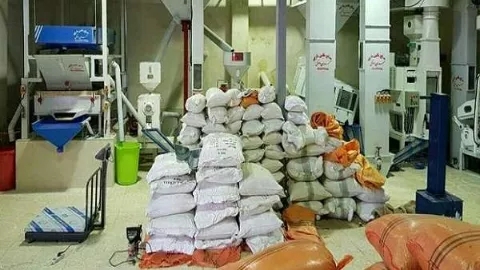 Pirincin rengi neden koyulaşır ve donuklaşır?
