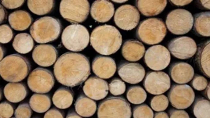Types of wood and their use