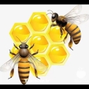 Beekeeping equipment in Mashhad