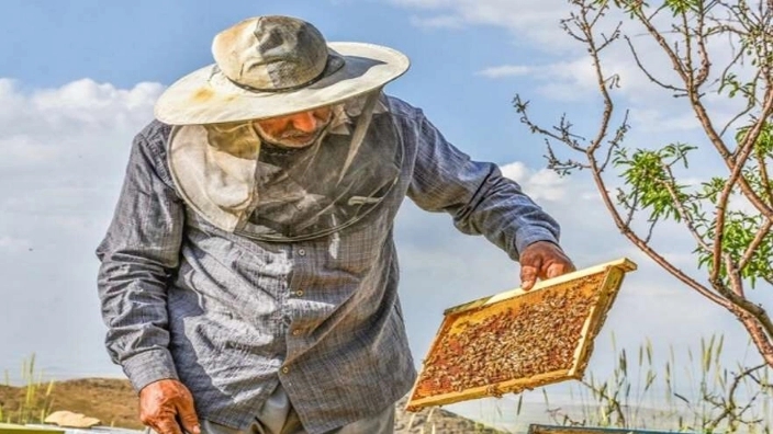Beekeeping equipment in Mashhad