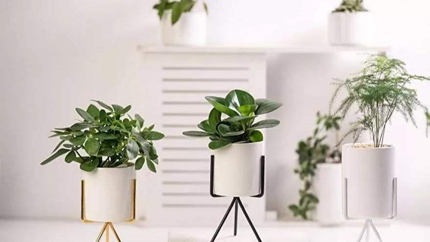 Ceramic pots