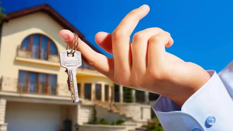 What are the roles and duties of a real estate agent?