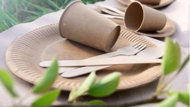 The use of paper containers in everyday life