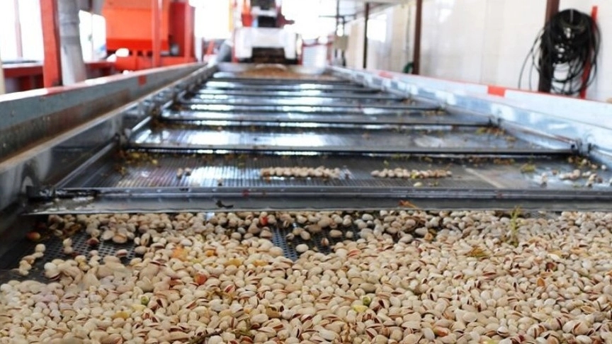 Manufacturer of pistachio processing terminals in Rafsanjan
