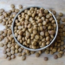 Food production for warm-water carp, Phytofak and Danso bighead fish in Tehran
