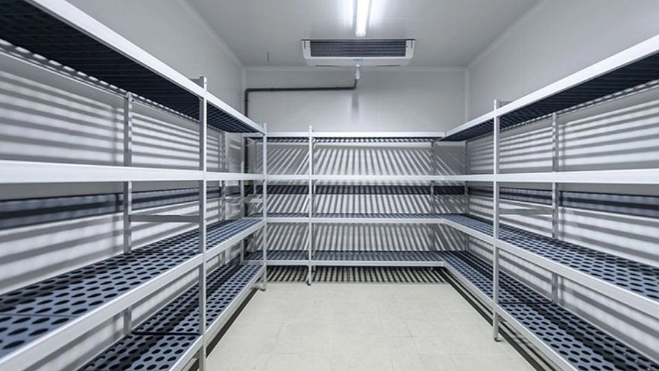What is a morgue? | Types of cold storage