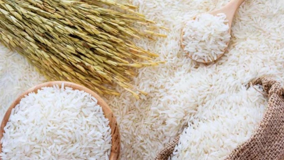 Types of Iranian rice