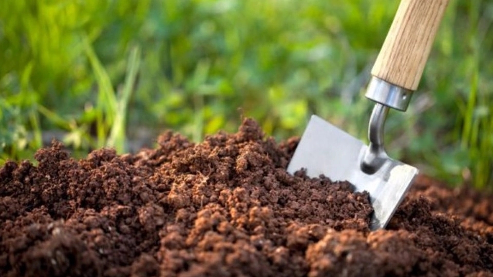 The difference between garden soil and pot soil