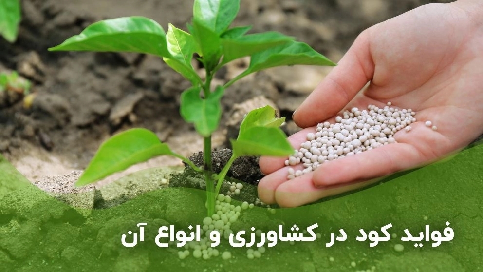 Benefits of fertilizer in agriculture and its types