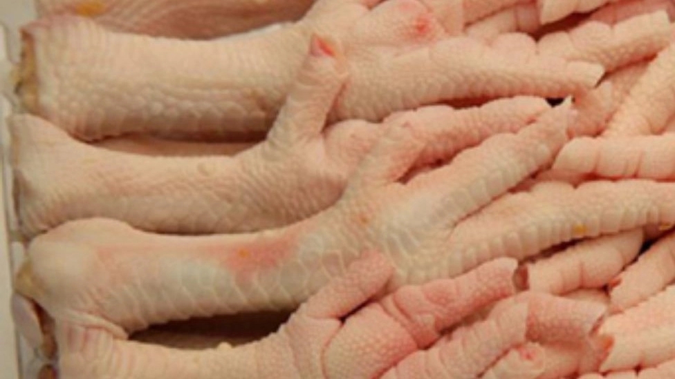 Getting to know the properties of chicken feet