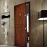 Altin anti-theft door in Mazandaran