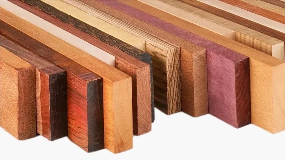Types of wood used in the furniture industry