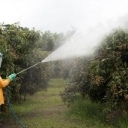 Giti Mehr Sabz Spraying Company in Yazd