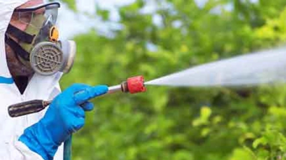 Giti Mehr Sabz Spraying Company in Yazd