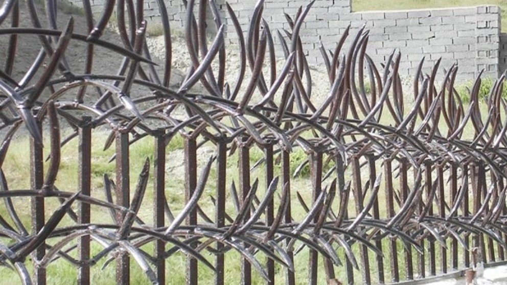 حفاظ شاخ گوزنی