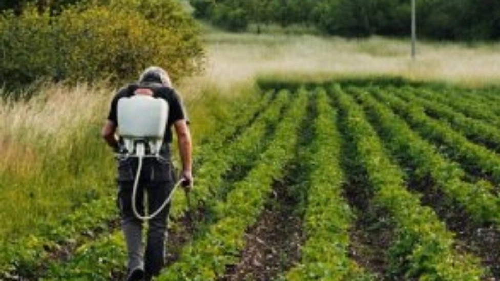 اصول مهم در روش سمپاشی گیاهان