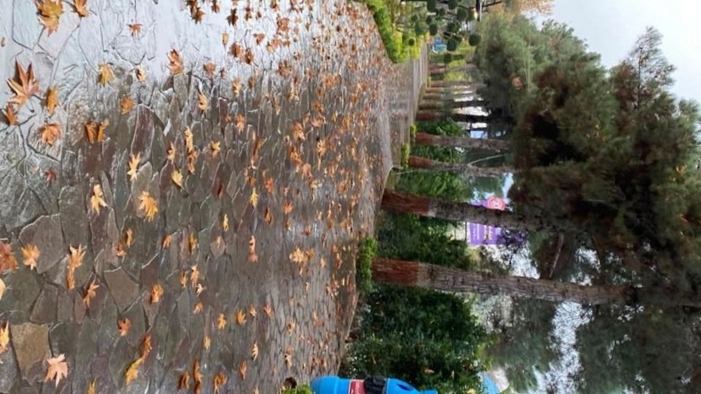 Pavement stone landscaping