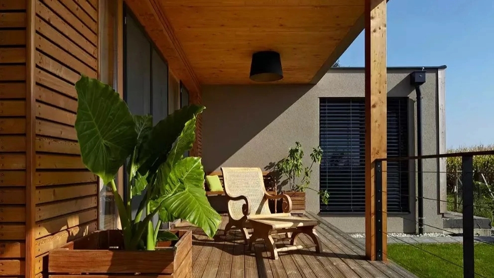 All kinds of thermowood products