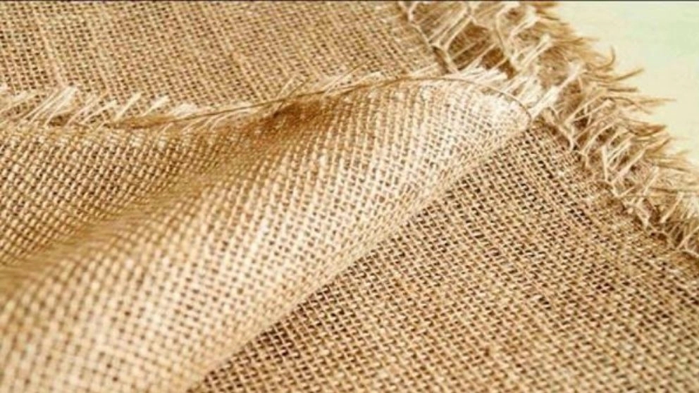 What is Goni Chatai?
