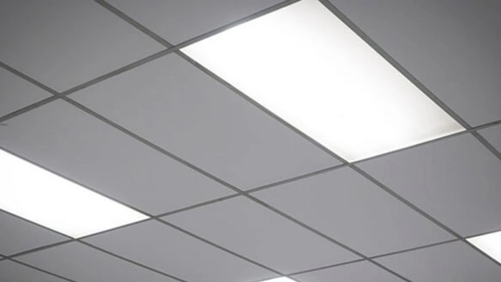 Ceiling panel and its types and applications