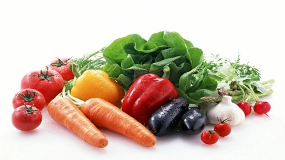 Trading trade and sale of dry and wet summer foods in Poyamahr in Khuzestan