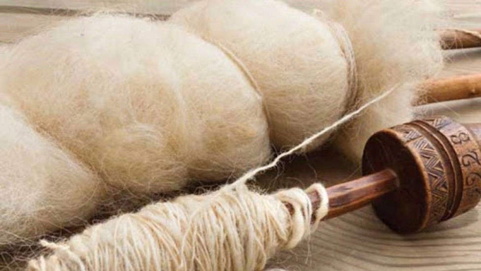 Animal fibers