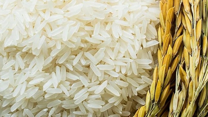 Should we buy second-cultivated rice or wild rice?!