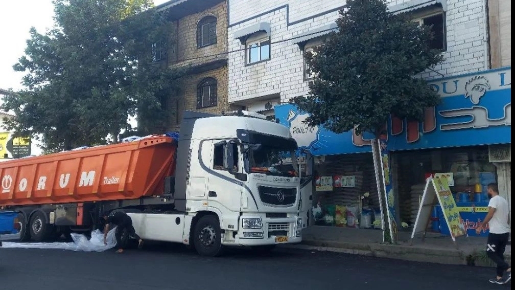 Livestock and poultry feed store in Talash