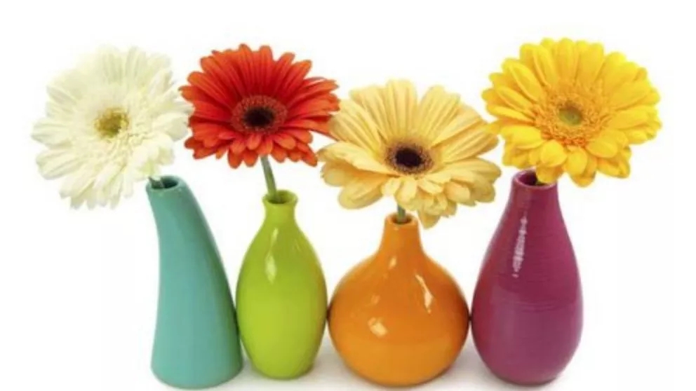 Types of flowers that can be used in bouquets