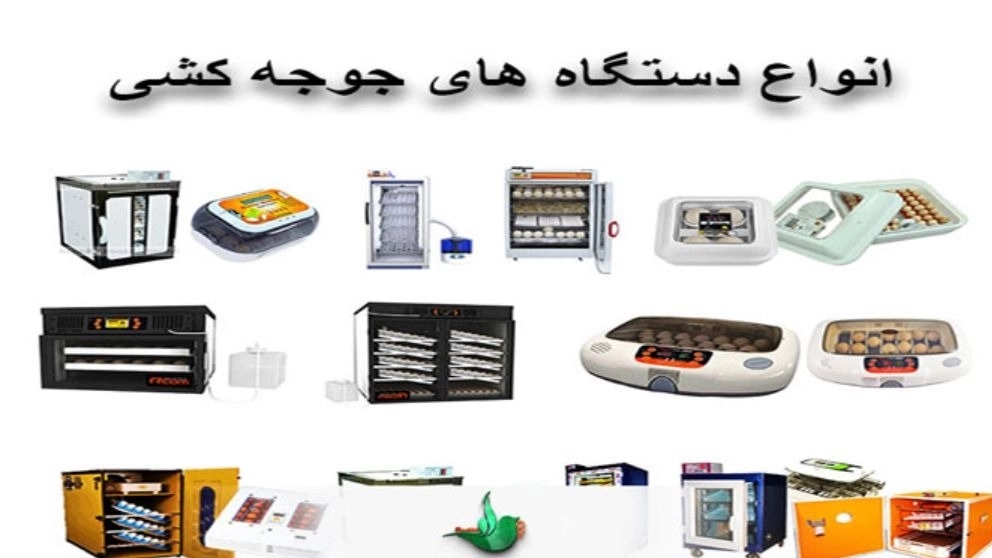 What is an incubator and what is its use?
