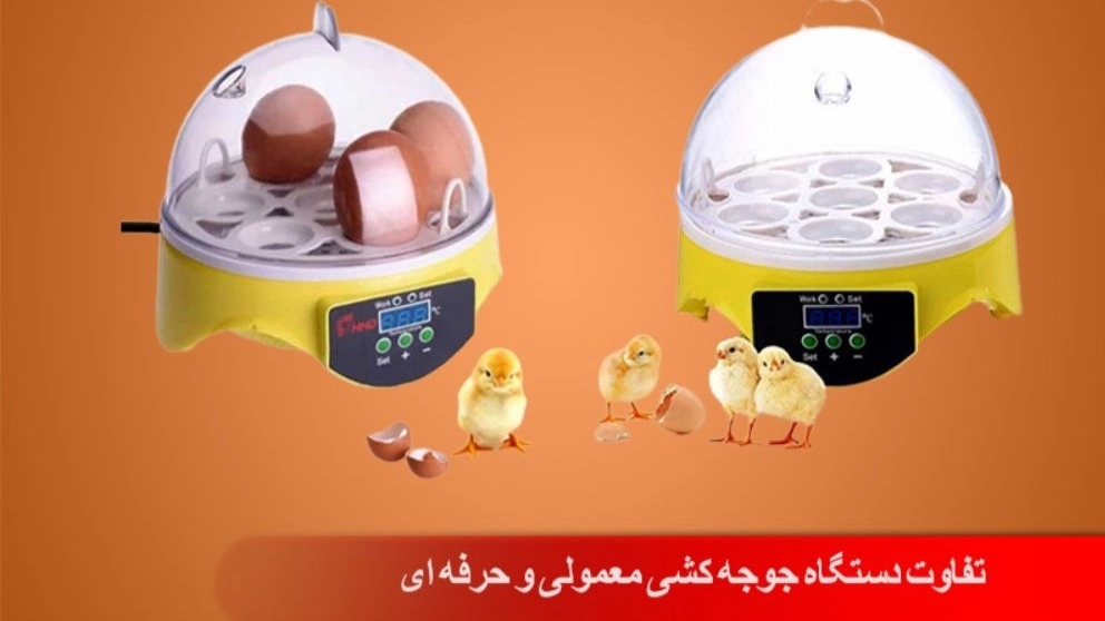 The difference between normal and professional incubators