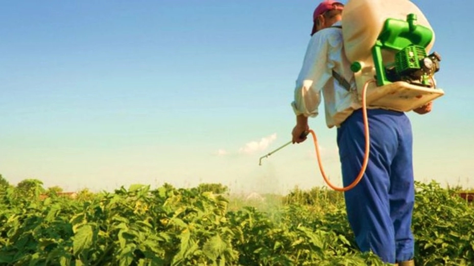 What is chemical fertilizer?