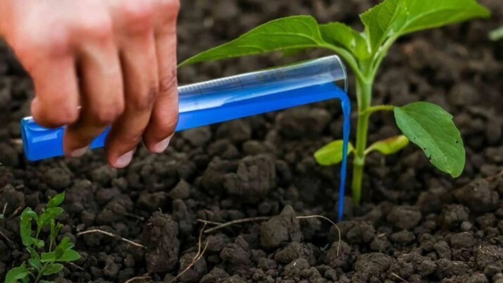 Classification of agricultural fertilizers