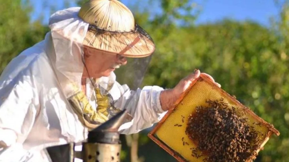 What are the characteristics of good beekeeping clothes?