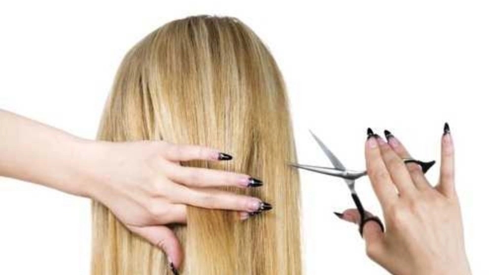 Is it better to cut dry hair or wet hair?
