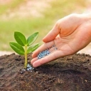 Ofog Sabzeiranian Company produces complete organic granular fertilizer in Tehran, Pakdasht