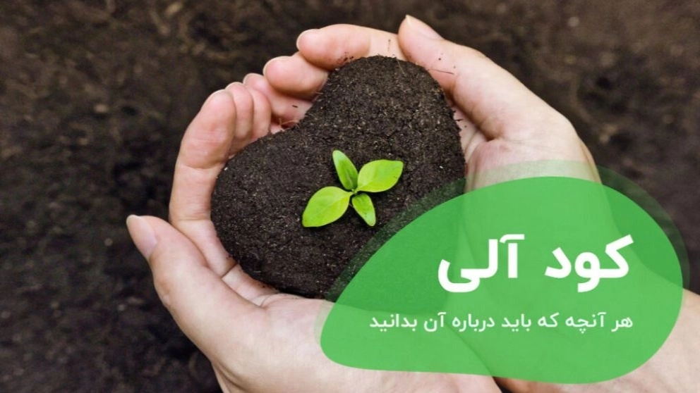What is organic fertilizer and its importance