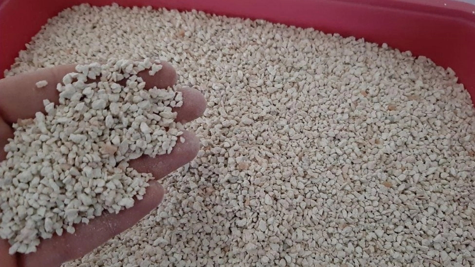 Guide to buying cat litter