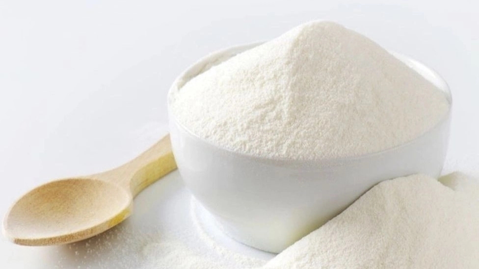 What is powdered milk and how is it prepared?