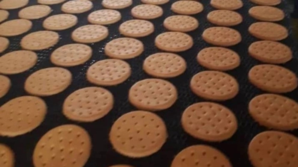 Sweet Biscuits Production Factory of Refinement of Joyn in Alborz