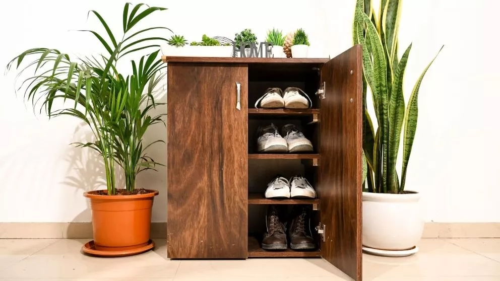 The importance of shoe rack design